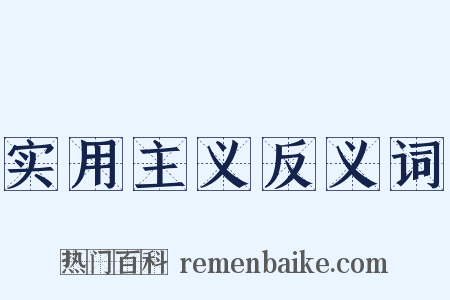 实用主义反义词是什么意思的图片